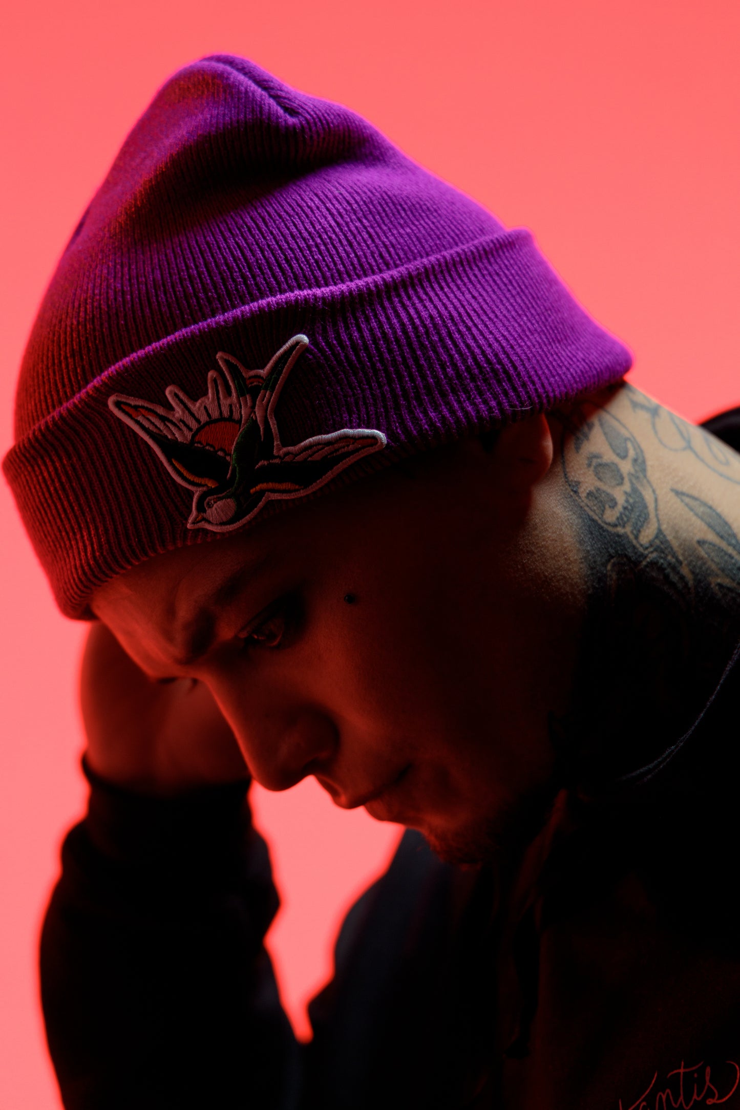Beanie golondrina