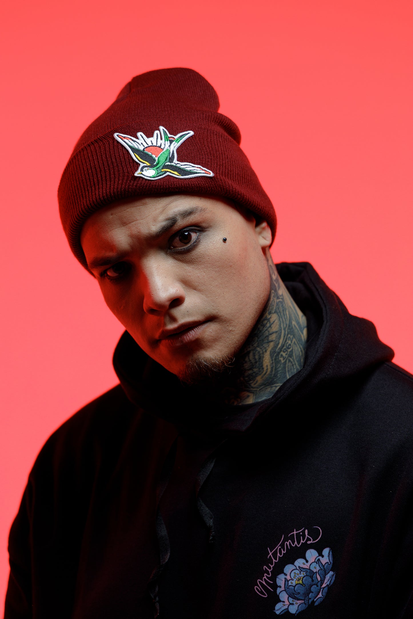 Beanie golondrina