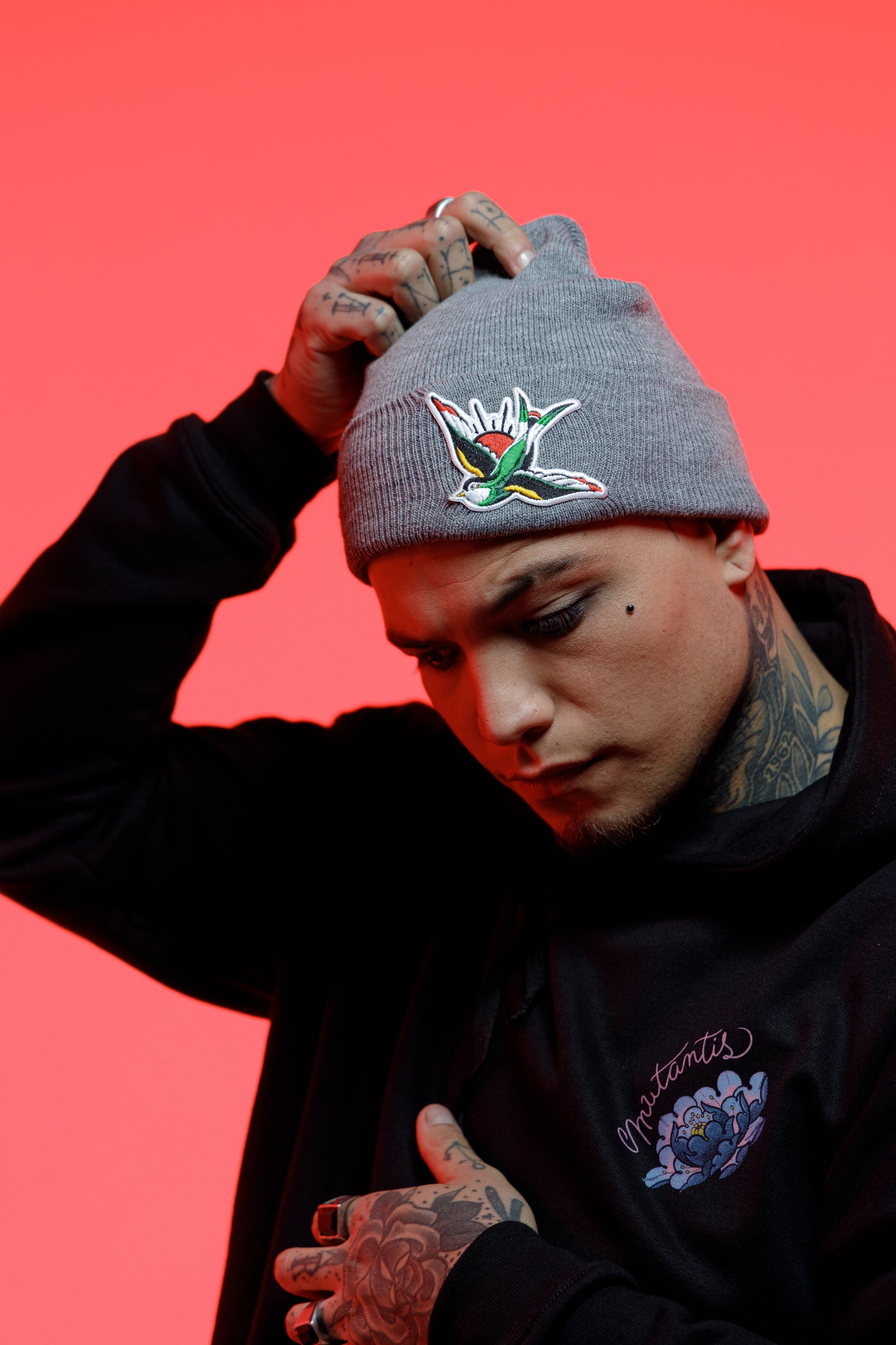 Beanie golondrina