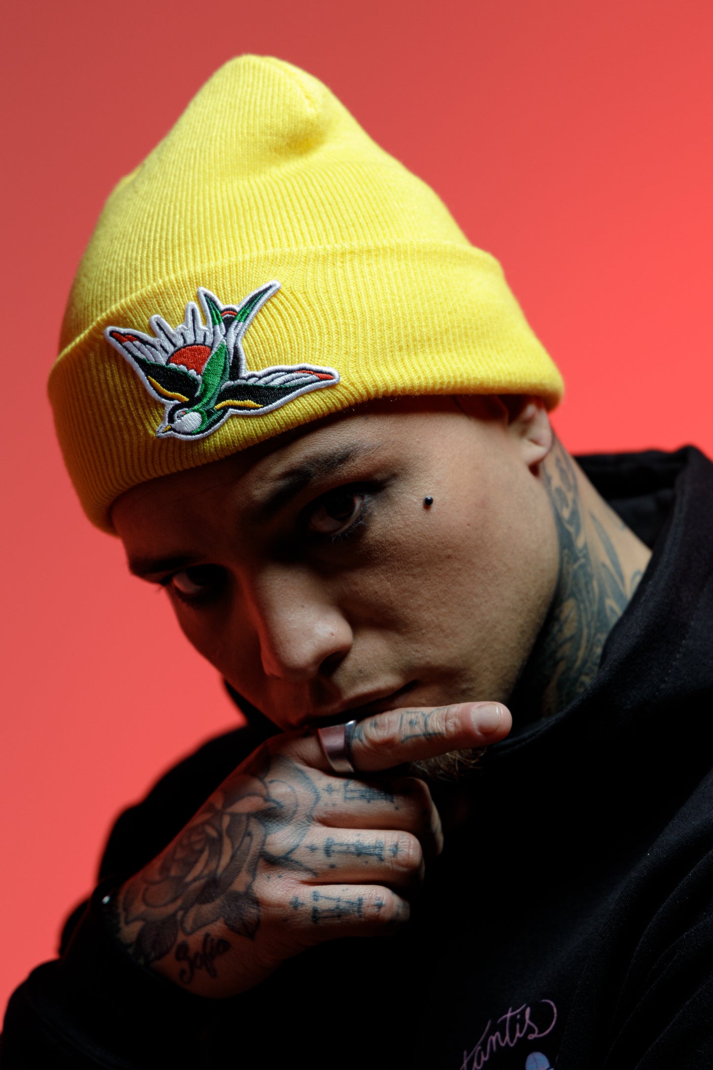 Beanie golondrina