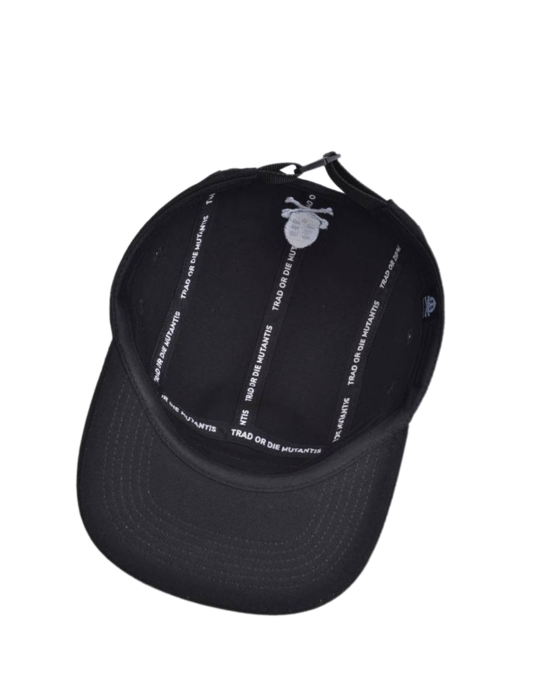 5panel TD1
