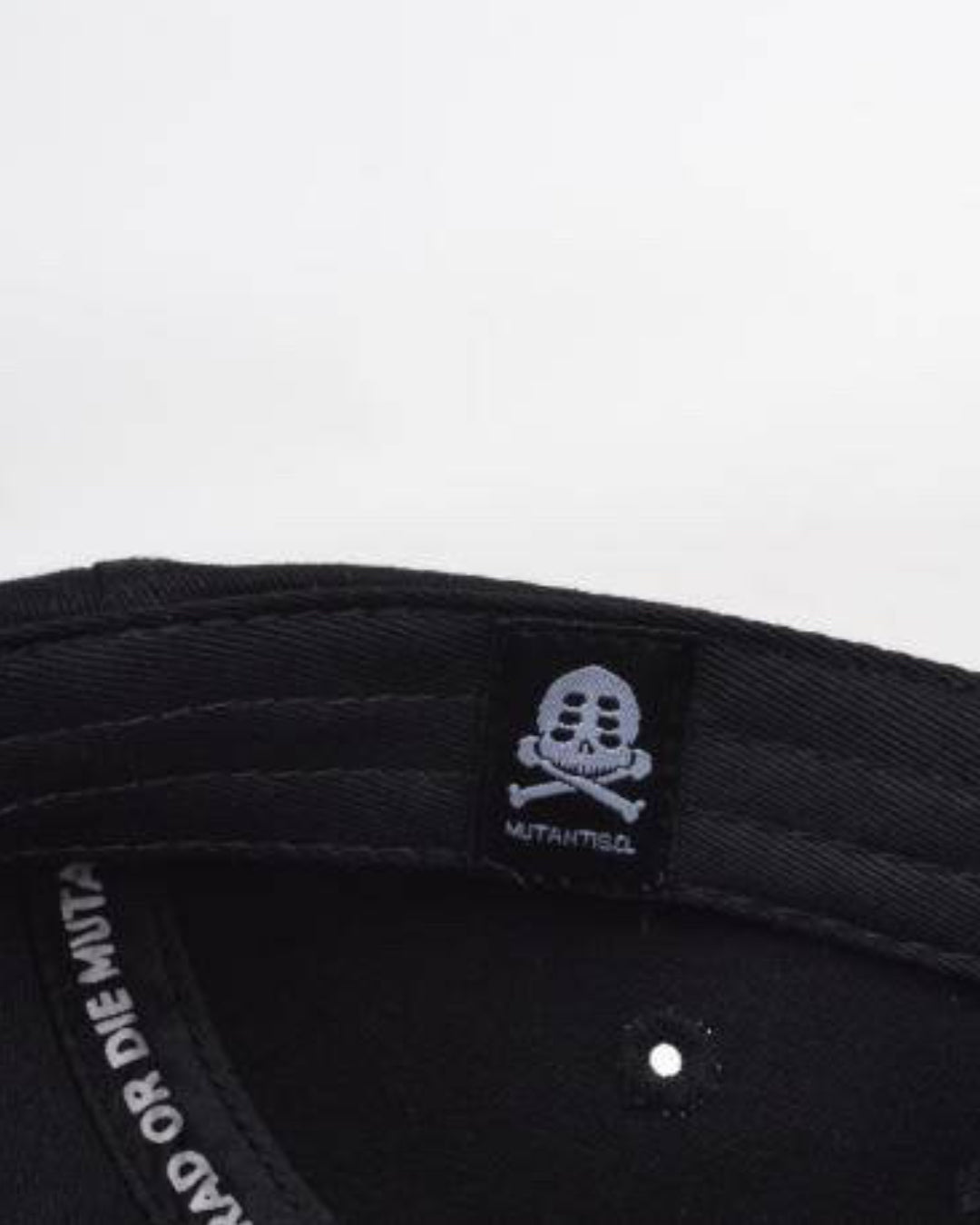 5panel TD1