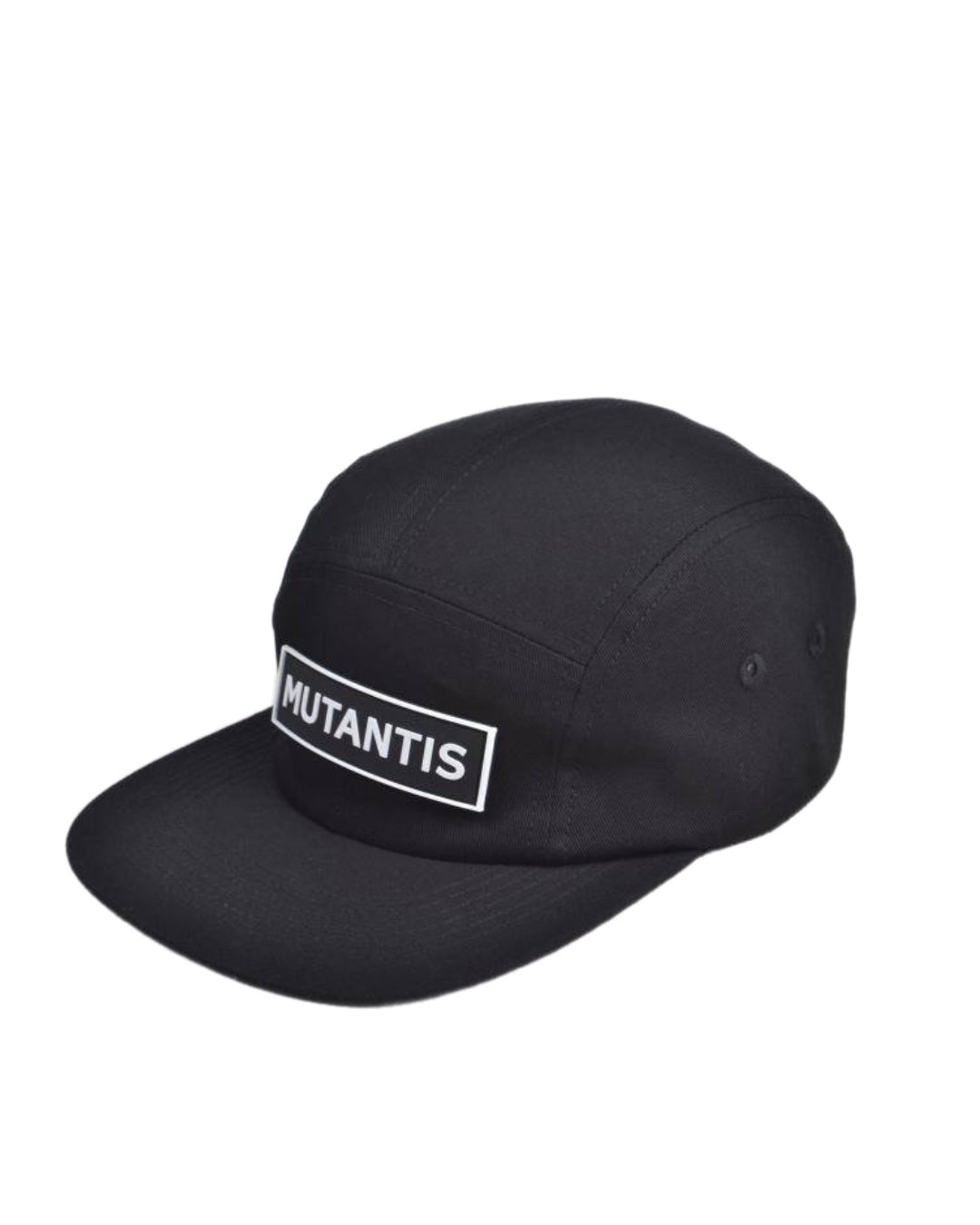 5panel TD1