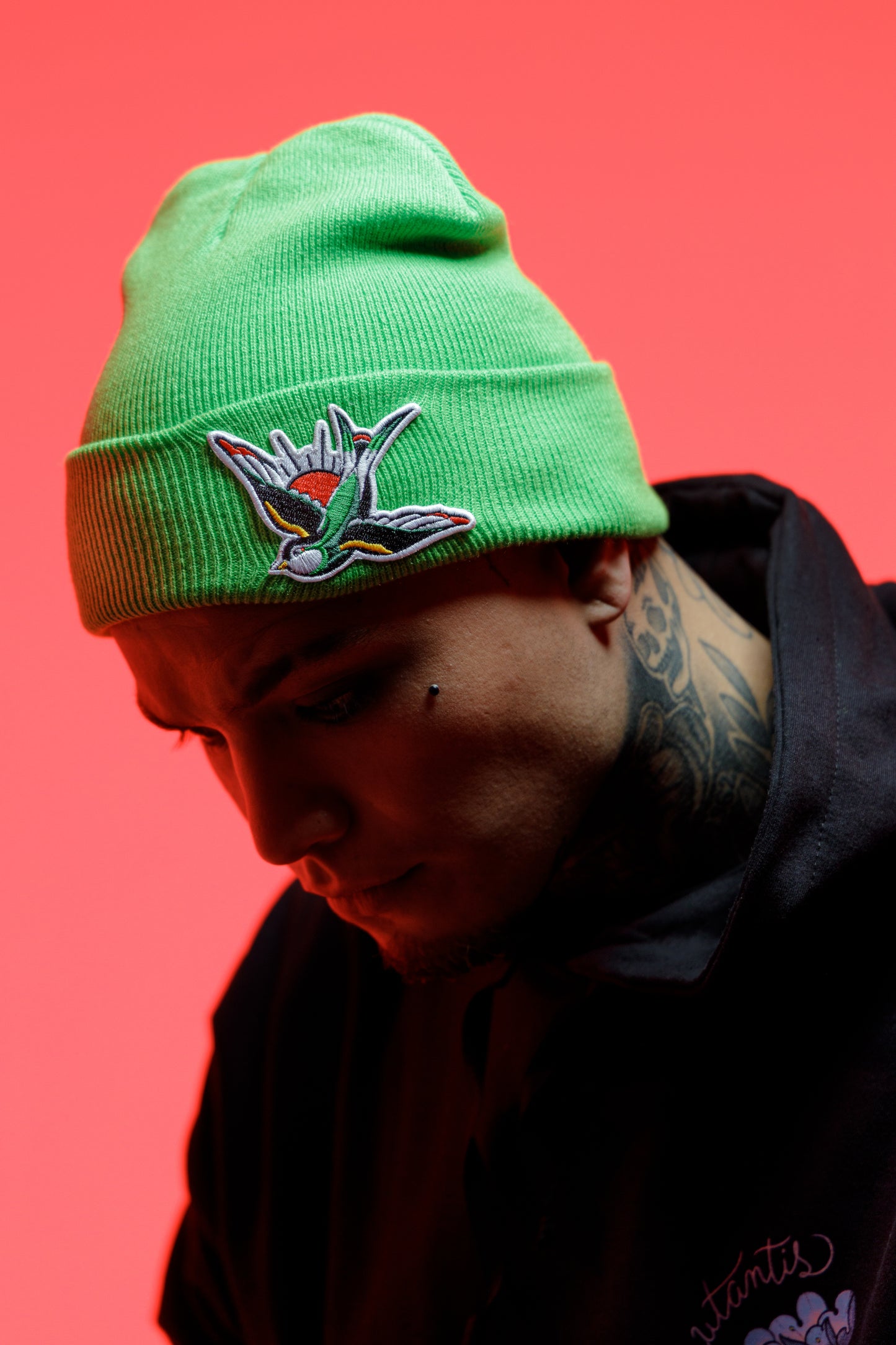Beanie golondrina