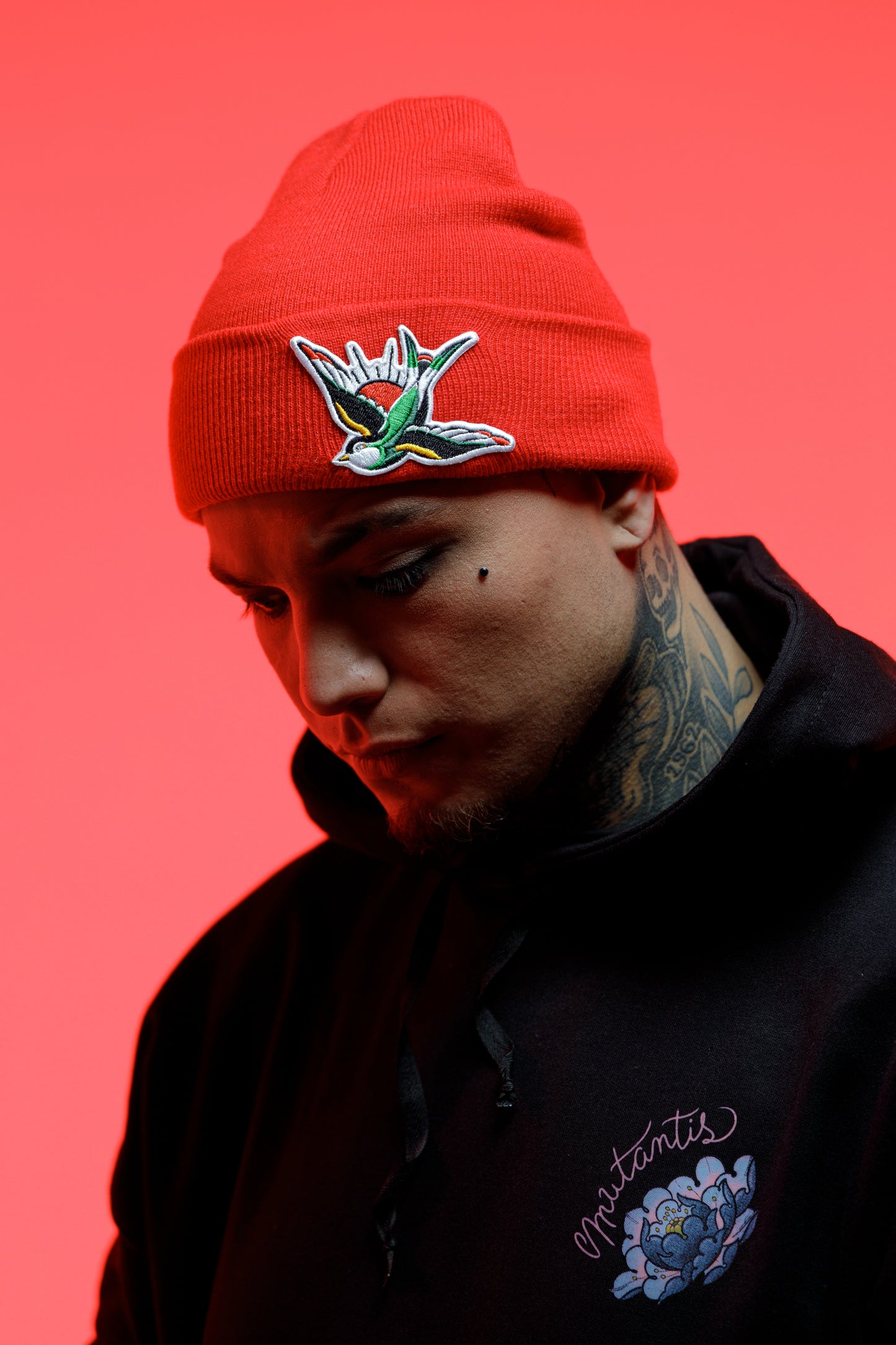 Beanie golondrina