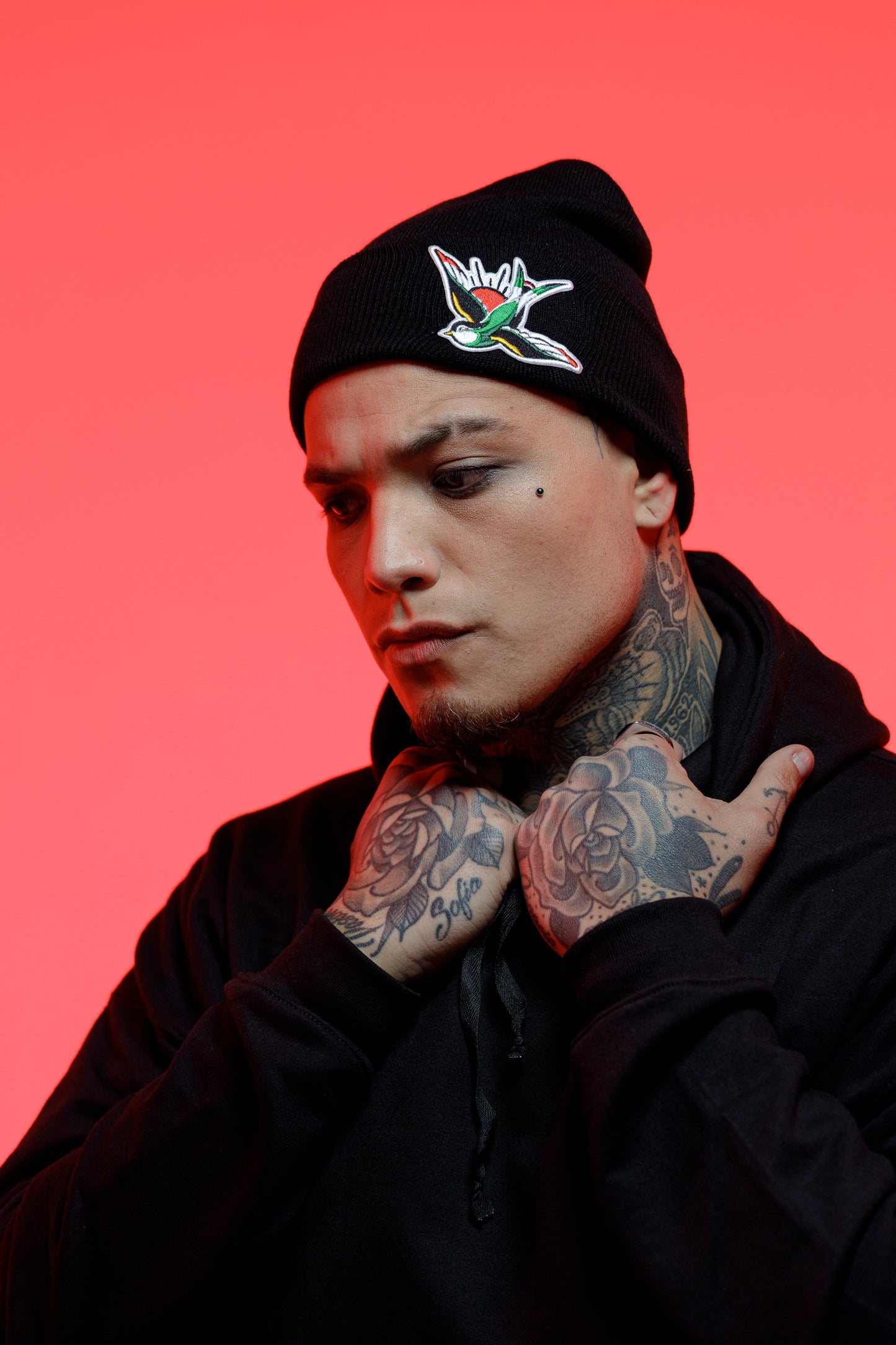 Beanie golondrina